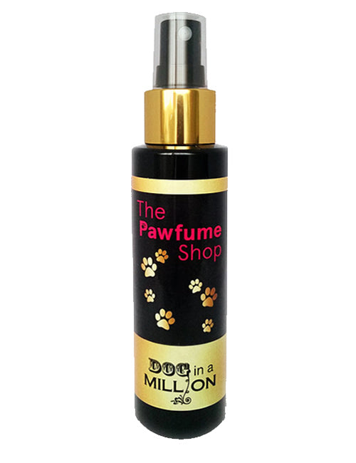Pawfume Dog in a Million - FasHUN Hounds